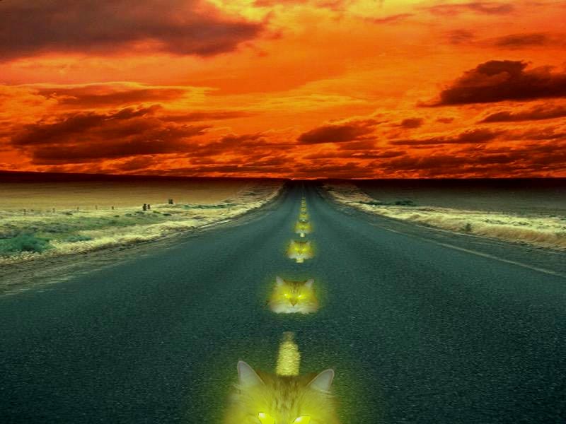 Design Photoshop par rjwh67220 pour DesignCrowd (Community Contests) | Design #9117604