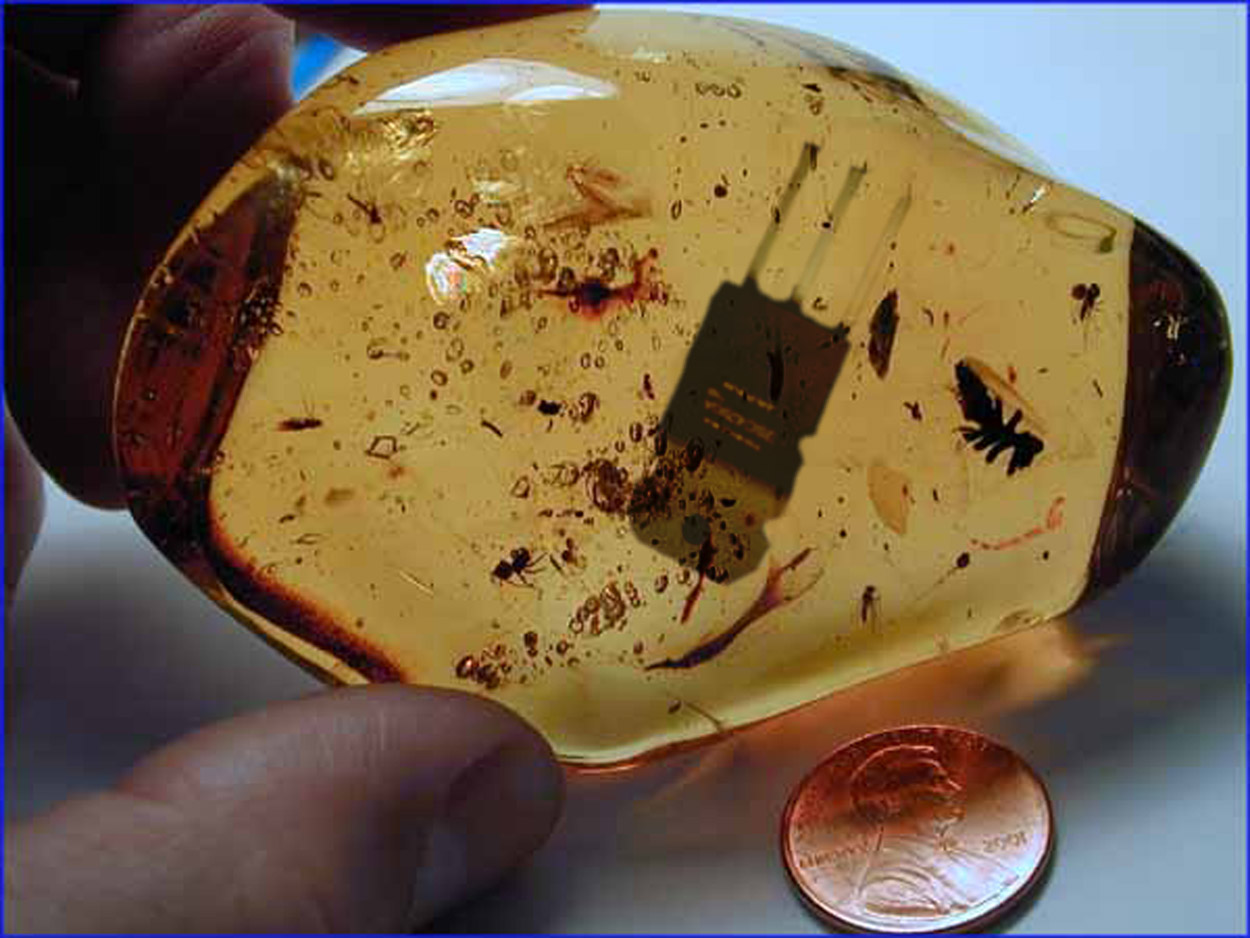 Photoshop Design by ptripias for DesignCrowd (Community Contests) | Design #9116730