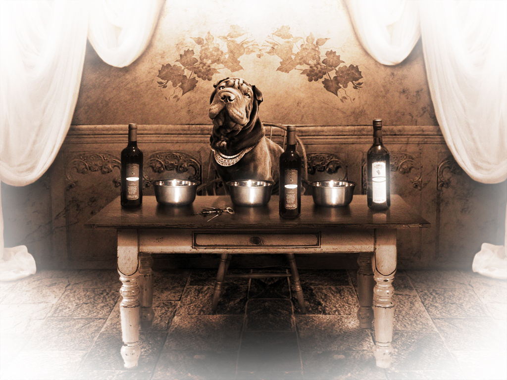 Diseño de Photoshop por JohnnyVegas para DesignCrowd (Community Contests) | Diseño #9117717