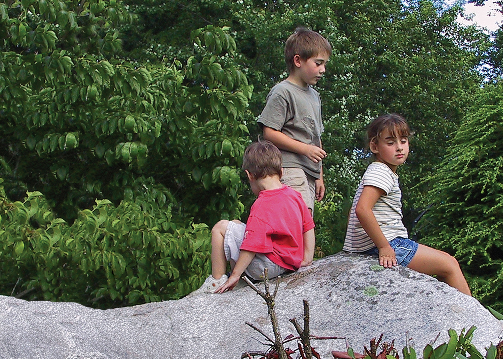 Fotografie von ewall53 für DesignCrowd (Community Contests) | Design #9114662