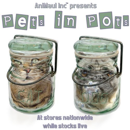 Photoshop Design by Cj for DesignCrowd (Community Contests) | Design #9117671