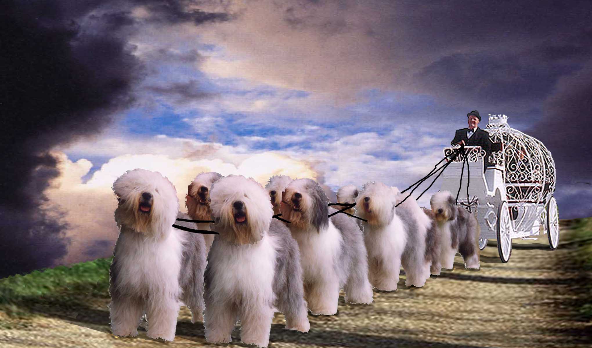 Photoshop-Design von UPUPUP für DesignCrowd (Community Contests) | Design #9117697