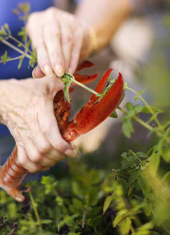 Photoshop Design by margin for DesignCrowd (Community Contests) | Design #9117792