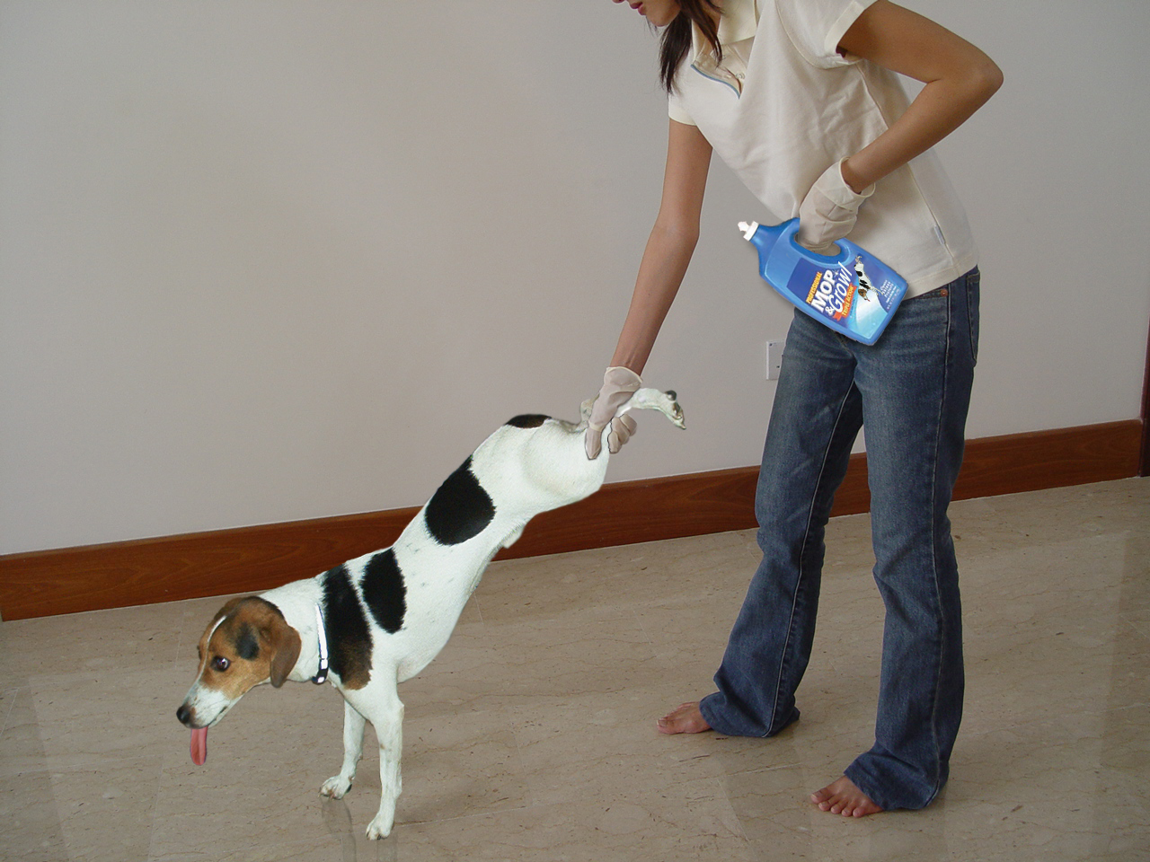 Photoshop-Design von dellville für DesignCrowd (Community Contests) | Design #9117799