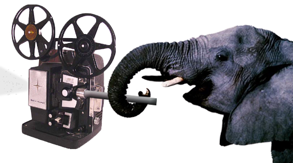 Photoshop Design by Avidon for DesignCrowd (Community Contests) | Design #9117803