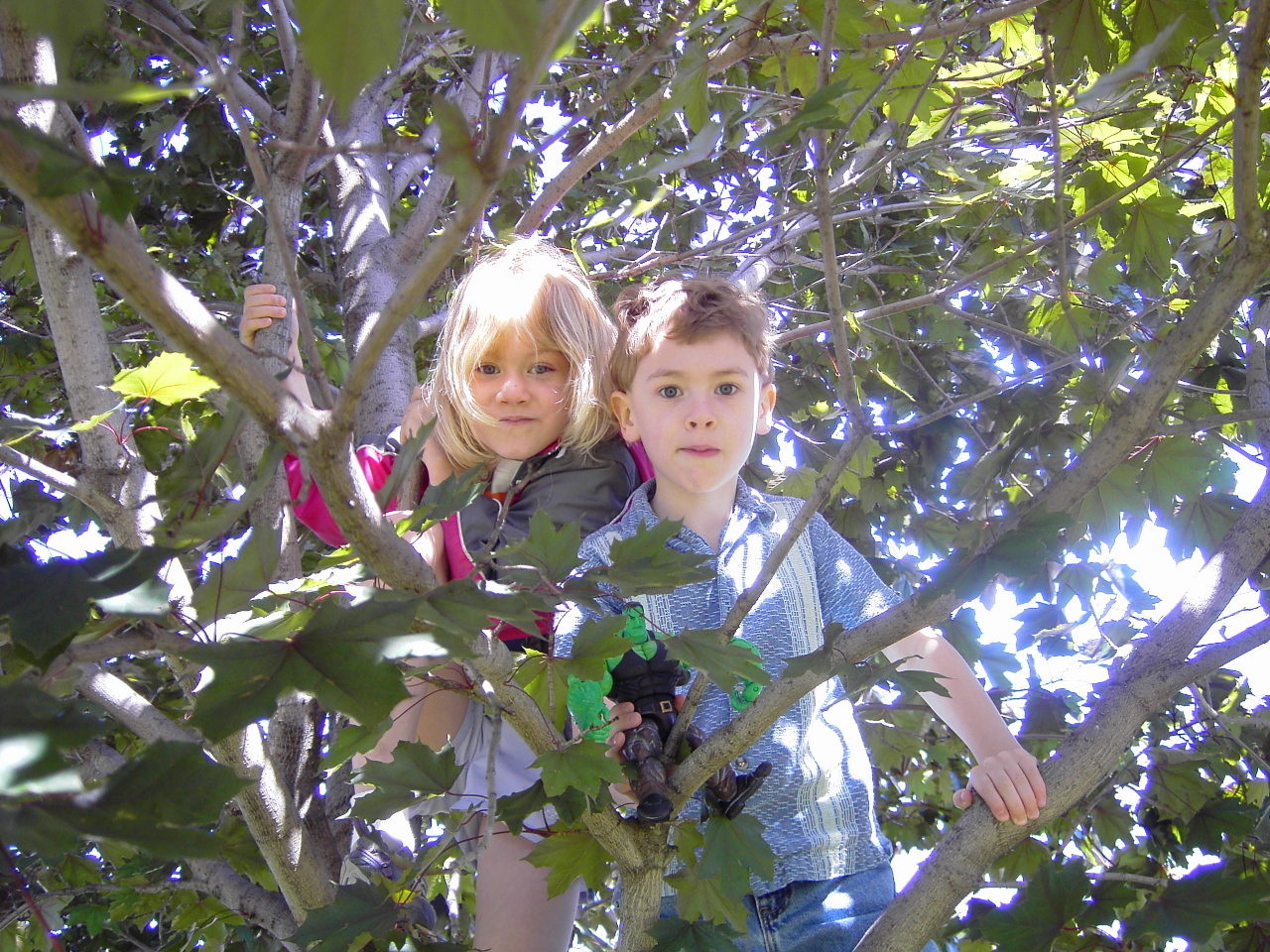 Fotografía por vanormer para DesignCrowd (Community Contests) | Diseño #9114732