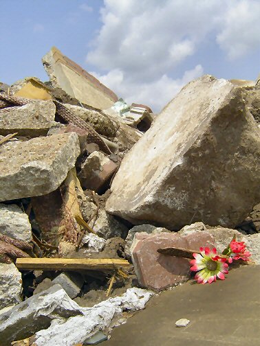 Photography by coopaloop for DesignCrowd (Community Contests) | Design #9113400