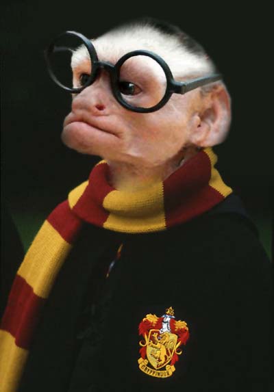 Photoshop Design by Genjamin for DesignCrowd (Community Contests) | Design #9114704