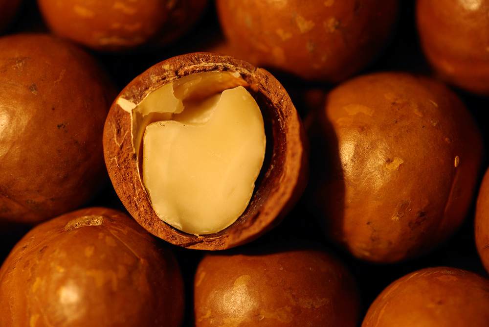 Fotografía por 1Mast1 para DesignCrowd (Community Contests) | Diseño #9113460