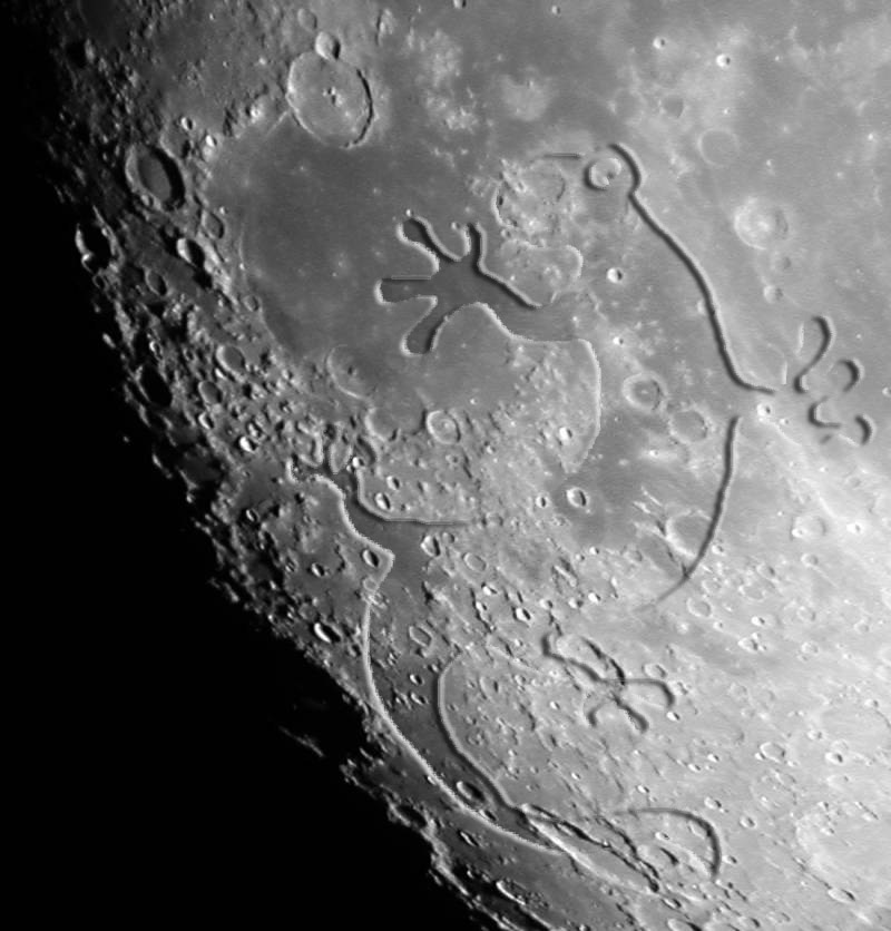 Diseño de Photoshop por LadyofHats para DesignCrowd (Community Contests) | Diseño #9112618