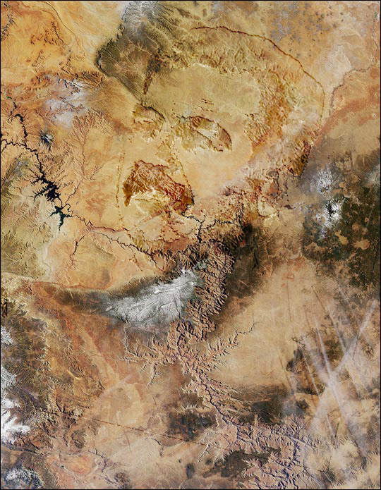 Photoshop Design by smadsen for DesignCrowd (Community Contests) | Design #9112670