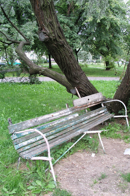 Fotografía por mzmzmzmz para DesignCrowd (Community Contests) | Diseño #9113496