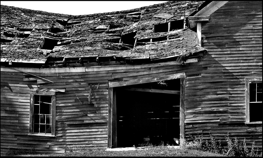 Photography by squeakers for DesignCrowd (Community Contests) | Design #9113588