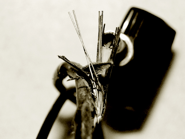 Photography by AnotherRainKing for DesignCrowd (Community Contests) | Design #9113560