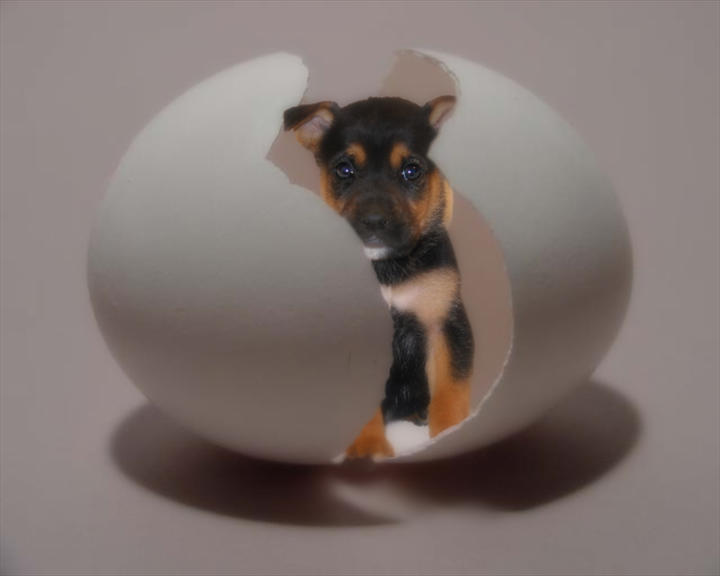 Photoshop-Design von DangerLaef für DesignCrowd (Community Contests) | Design #9111133