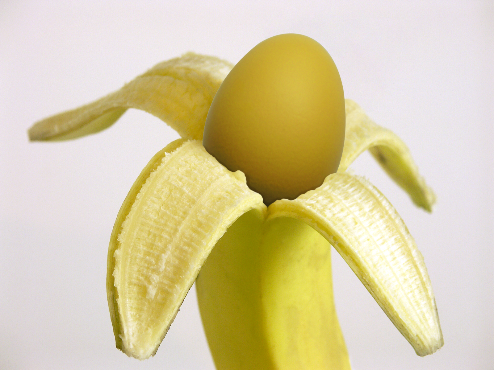 Photoshop Design by MrDectol for DesignCrowd (Community Contests) | Design #9111235