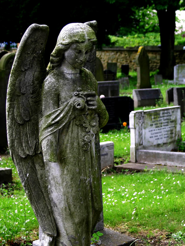 Photography by cl_UK for DesignCrowd (Community Contests) | Design #9113544