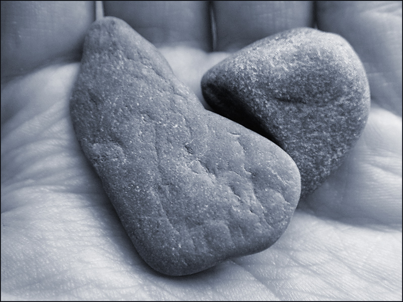 Fotografía por tribun para DesignCrowd (Community Contests) | Diseño #9113565