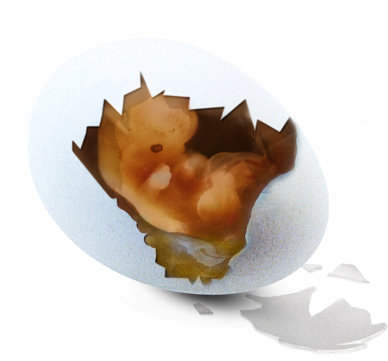 Photoshop Design by Eizzo6 for DesignCrowd (Community Contests) | Design #9111373