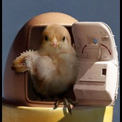 Photoshop Design by Midaga