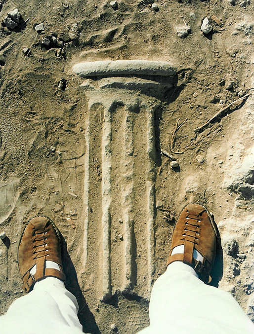 Fotografie von Dziedzic für DesignCrowd (Community Contests) | Design #9094212