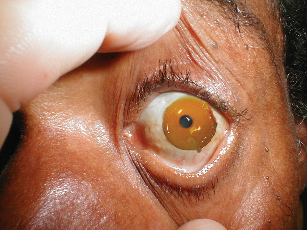 Photoshop Design by Redstar for DesignCrowd (Community Contests) | Design #9111472