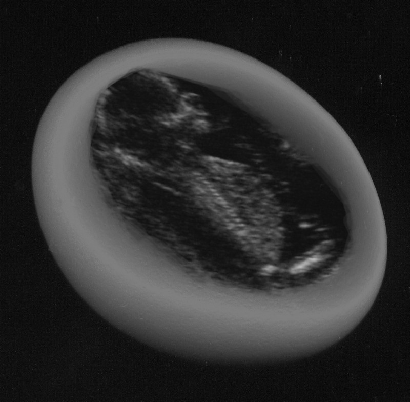 Photoshop Design by siouxsiekitten for DesignCrowd (Community Contests) | Design #9111513