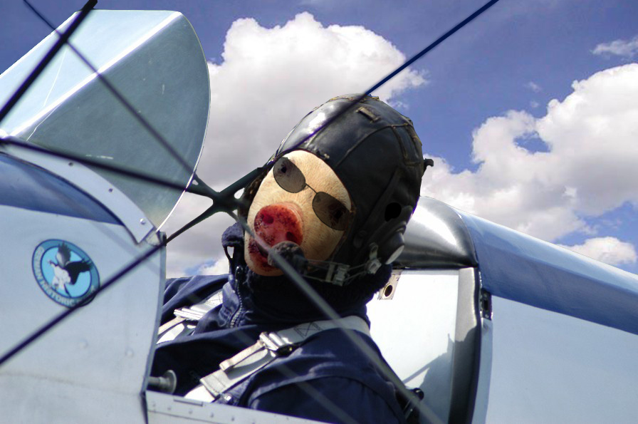 Design Photoshop par godzillatemple pour DesignCrowd (Community Contests) | Design #9113947