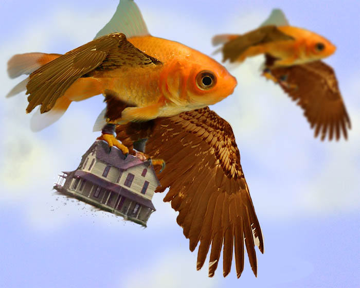 Photoshop Design by cranberryzero for DesignCrowd (Community Contests) | Design #9113989