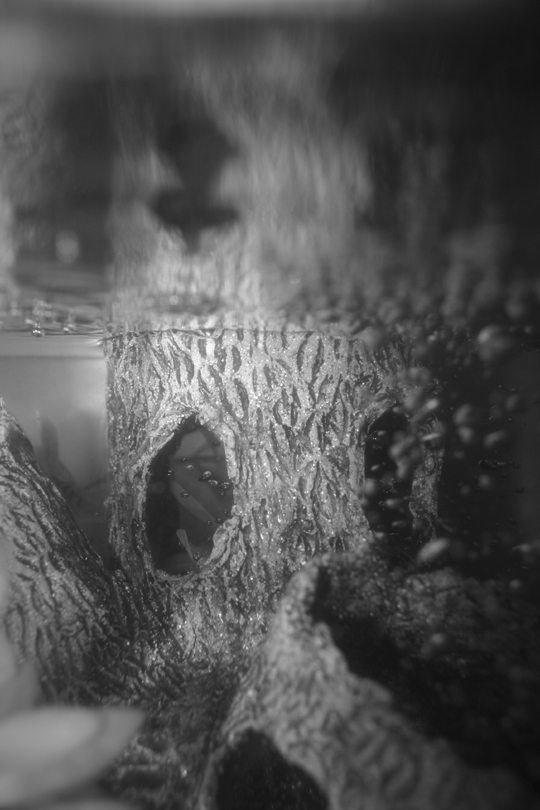 Fotografía por Tori2004 para DesignCrowd (Community Contests) | Diseño #9112887