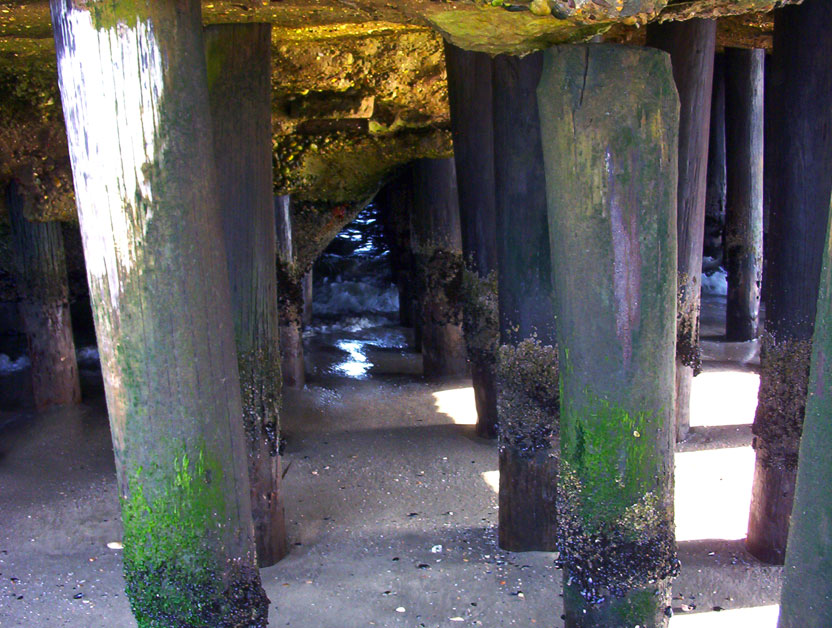 Photography by Redstar for DesignCrowd (Community Contests) | Design #9094260