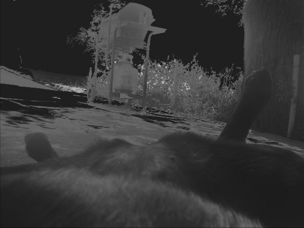 Photography by Wayne08 for DesignCrowd (Community Contests) | Design #9112910