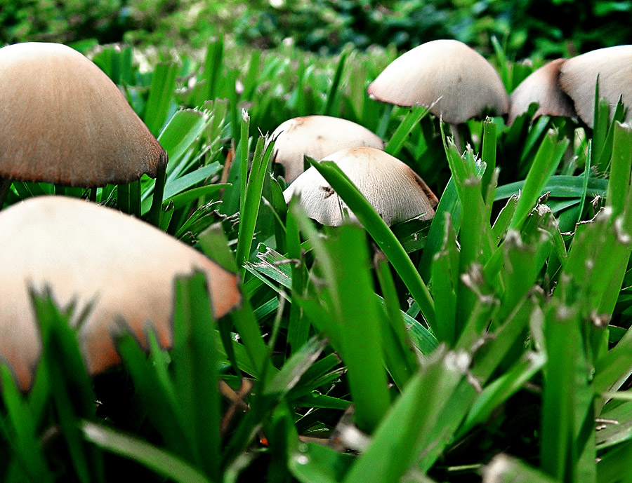 Photography by TampaDroid for DesignCrowd (Community Contests) | Design #9112897