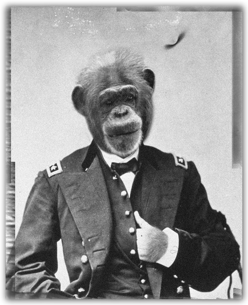 Photoshop Design by graphikill for DesignCrowd (Community Contests) | Design #9096902