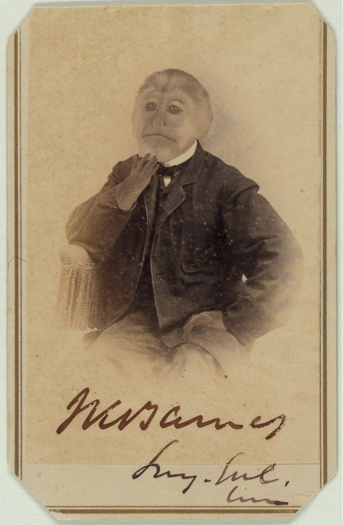 Photoshop Design by breimer for DesignCrowd (Community Contests) | Design #9096900