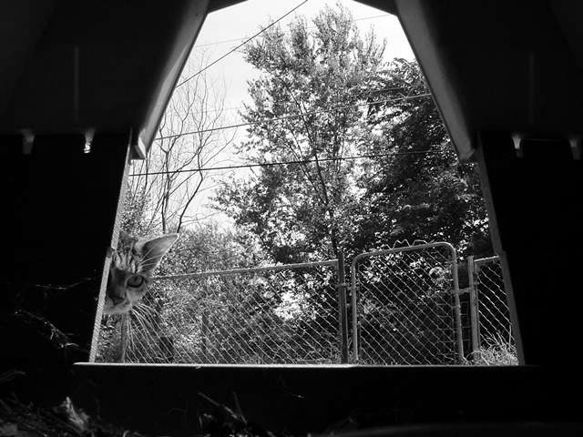 Photography by DavidandDoobie for DesignCrowd (Community Contests) | Design #9112905
