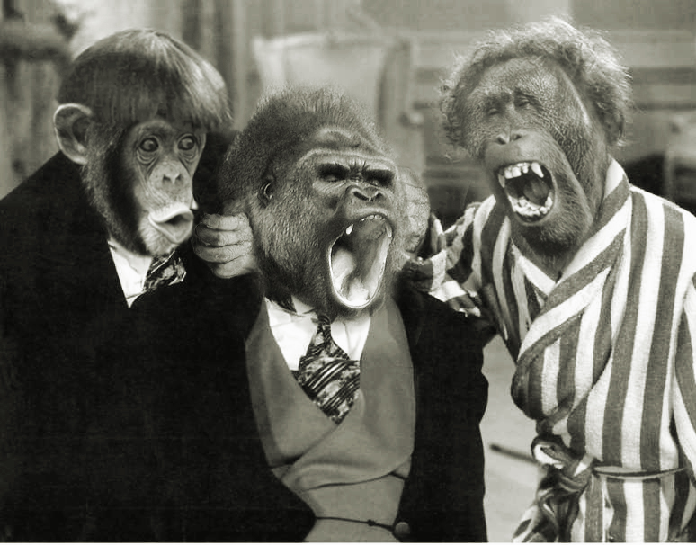 Photoshop Design by HooskerRoo for DesignCrowd (Community Contests) | Design #9096943