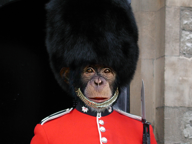 Photoshop Design by tomveil for DesignCrowd (Community Contests) | Design #9096972