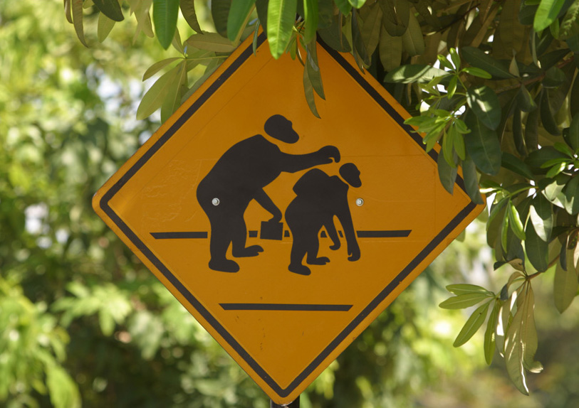 Photoshop Design by darrellperry for DesignCrowd (Community Contests) | Design #9096953