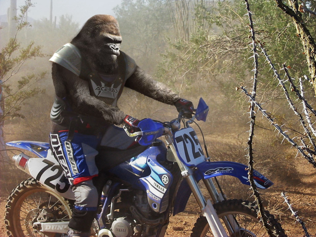 Photoshop Design by TBA for DesignCrowd (Community Contests) | Design #9096948