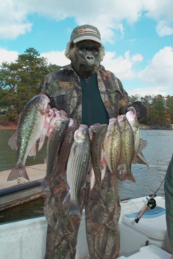 Design Photoshop par blondiecat pour DesignCrowd (Community Contests) | Design #9097083