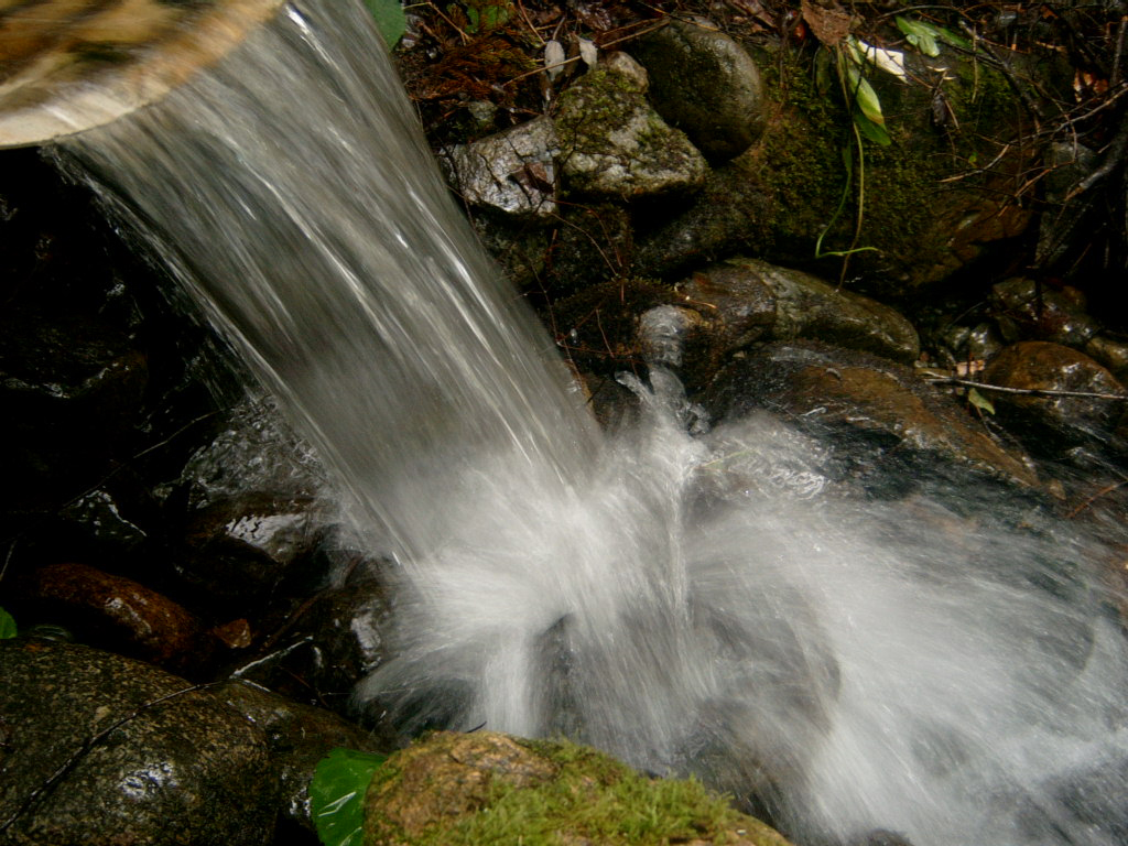 Photography by deadlungs for DesignCrowd (Community Contests) | Design #9112222