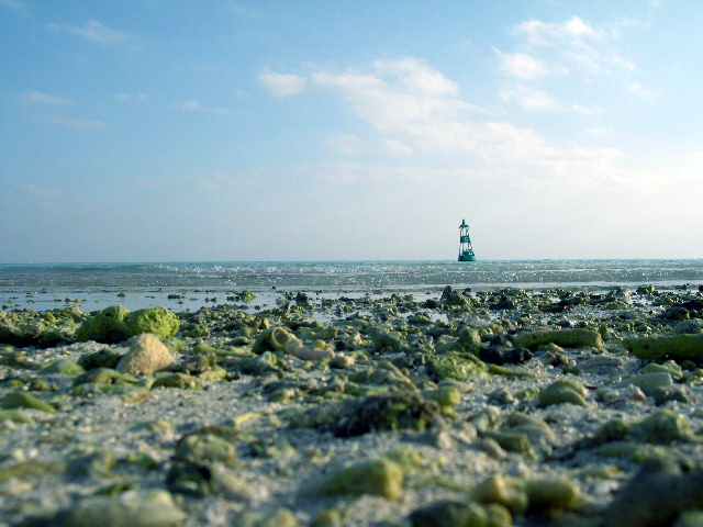 Photography by absguft for DesignCrowd (Community Contests) | Design #9112257