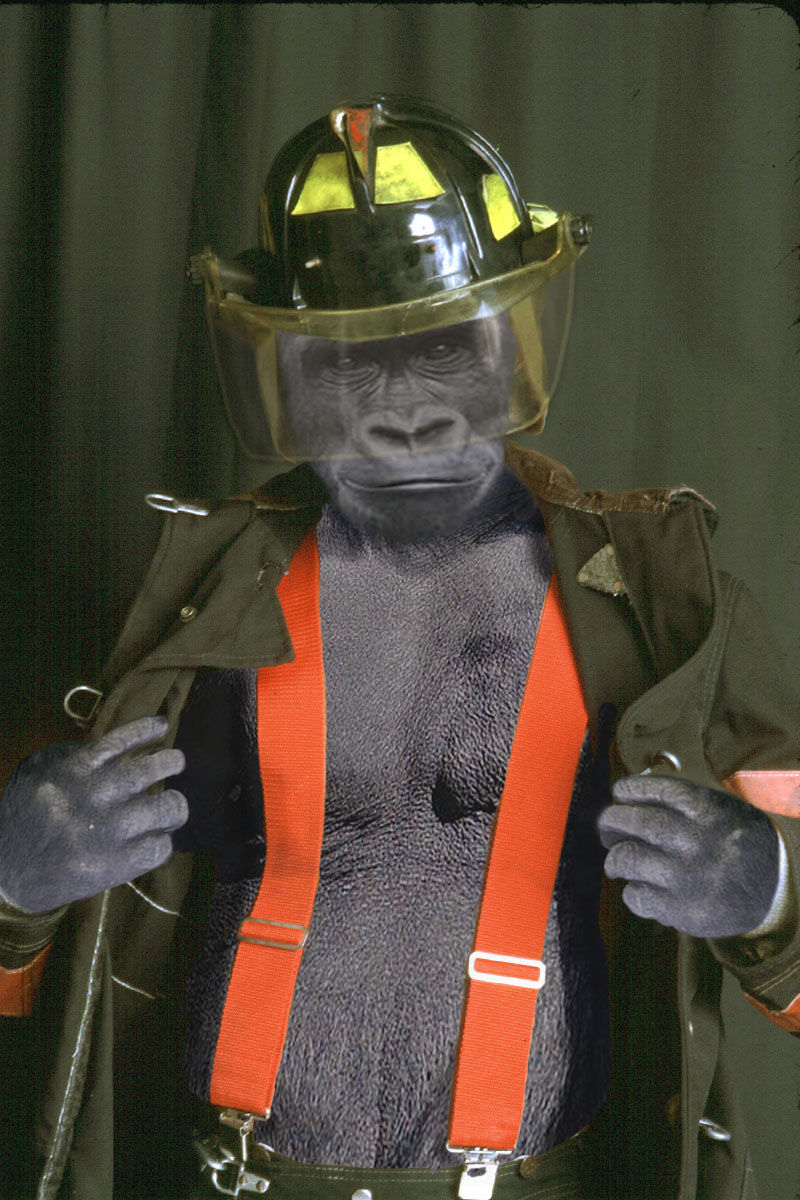 Diseño de Photoshop por RanLar para DesignCrowd (Community Contests) | Diseño #9097061