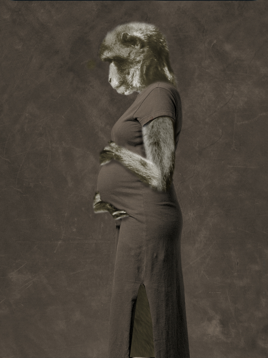 Diseño de Photoshop por LouieCocchiola para DesignCrowd (Community Contests) | Diseño #9097174