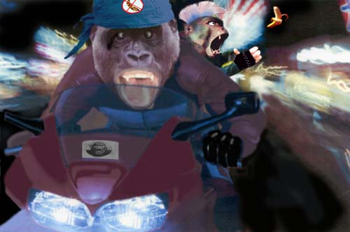 Diseño de Photoshop por cristielayne para DesignCrowd (Community Contests) | Diseño #9097162