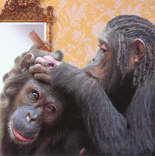 Photoshop Design by cameon for DesignCrowd (Community Contests) | Design #9097142