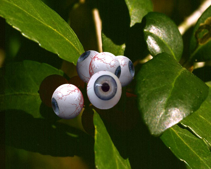 Photoshop-Design von DangerLaef für DesignCrowd (Community Contests) | Design #9110424