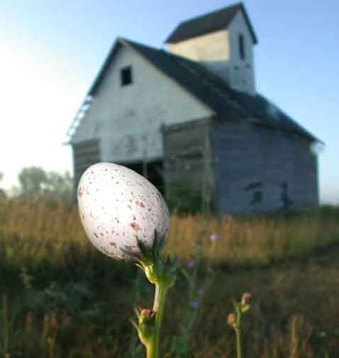 Photoshop-Design von sycooo für DesignCrowd (Community Contests) | Design #9110453