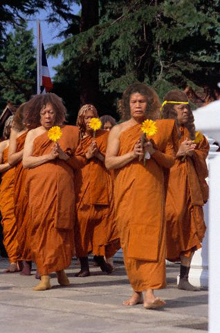 Design Photoshop par surendrasawant pour DesignCrowd (Community Contests) | Design #9116635